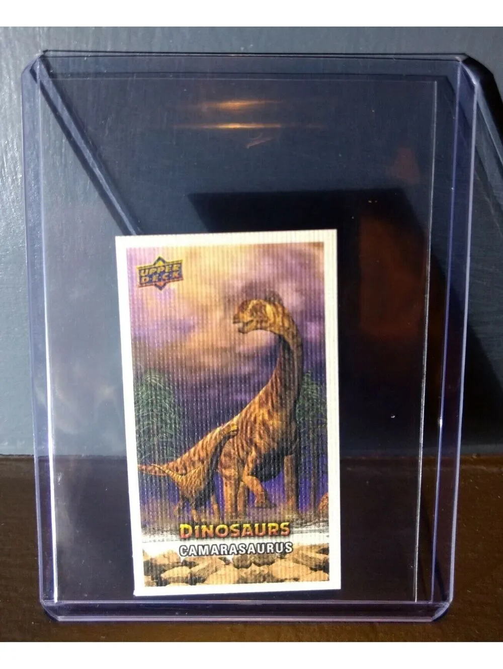 2015 Upper Deck Dinosaurs Canvas Mini Camarasaurus #71 Trading Card